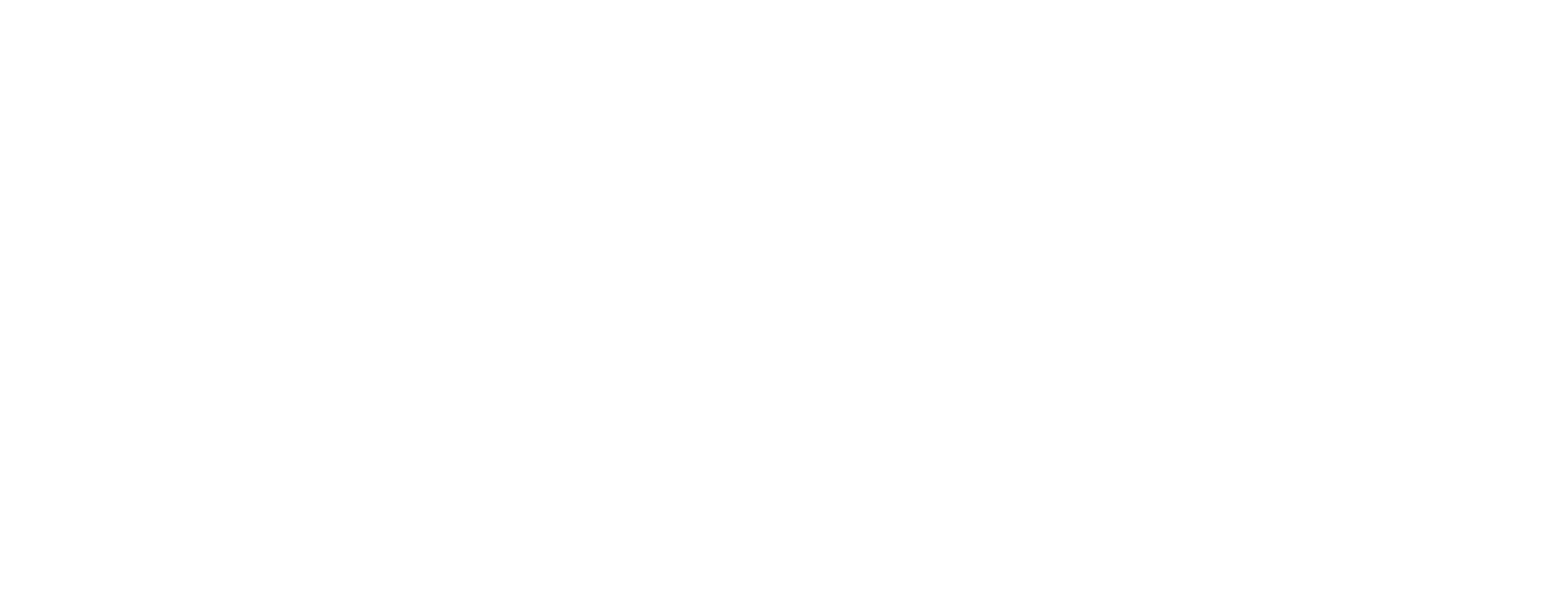 BettrNation White logo - no background-1